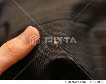 Bug feeding pants 44571038