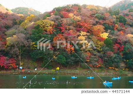Arashiyama Togetsubashi上游區域划船，秋葉在京都，日本 44571144