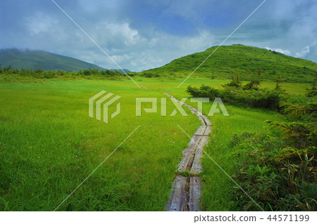 去那座山 44571199