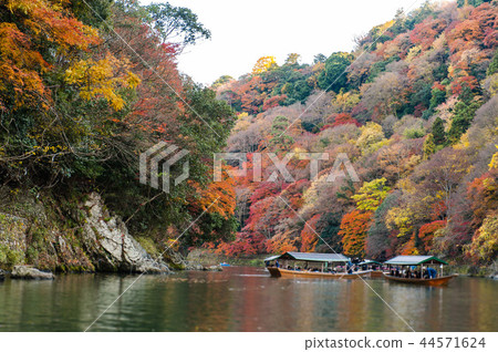 Arashiyama Togetsubashi upstream area boating, autumn leaves in Kyoto, Japan Arashiyama Togetsubashi upstream area boating, autumn leaves in Kyoto, Japan 44571624