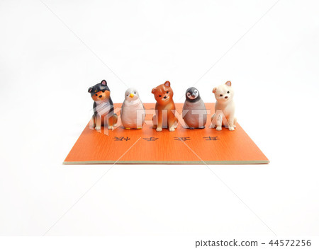 pension pension 44572256