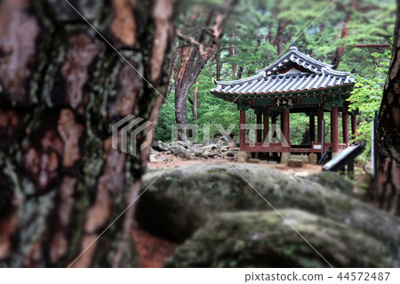 Haeinsa, Haecheon-gun, Gyeongsang-do Haeinsa, Haecheon-gun, Gyeongsang-do 44572487