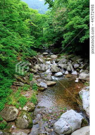 Haeinsa, Haecheon-gun, Gyeongsang-do 44572498