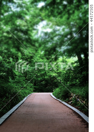 Haeinsa,Haecheon-gun,Gyeongsang-do Haeinsa,Haecheon-gun,Gyeongsang-do 44572505