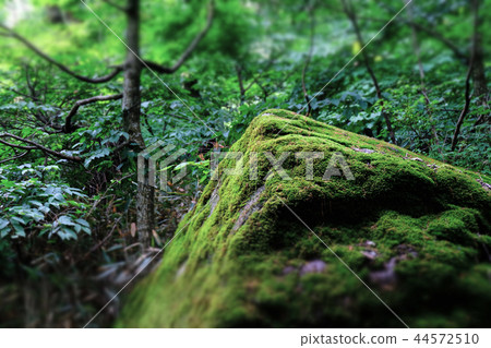 Haeinsa, Haecheon-gun, Gyeongsang-do Haeinsa, Haecheon-gun, Gyeongsang-do 44572510