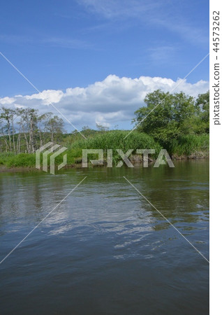 釧路濕地〜獨木舟遊輪（北海道） 44573262