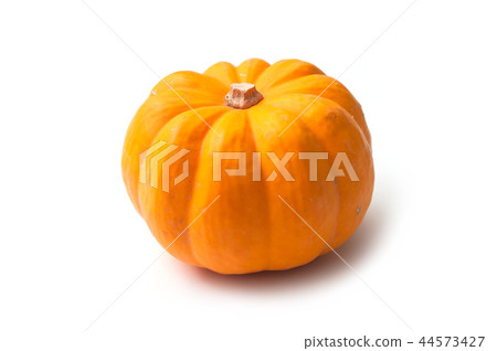 orange gourd for halloween decoration  44573427
