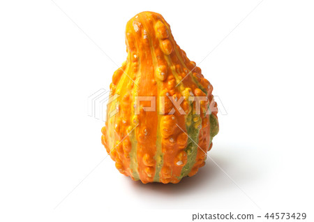 orange gourd for halloween decoration orange gourd for halloween decoration 44573429