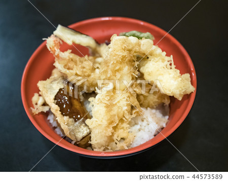 米飯和油炸魚碗 米飯和油炸魚碗 44573589