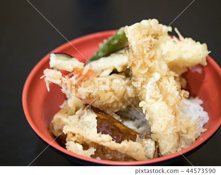 米飯和油炸魚碗 米飯和油炸魚碗 44573590