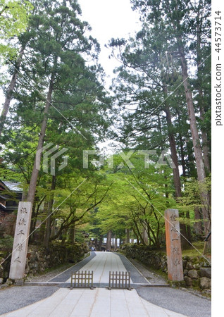 The gate of eihei-ji Temple (5-15 Shihiji-cho, Yoshida-gun, Fukui Prefecture) The gate of eihei-ji Temple (5-15 Shihiji-cho, Yoshida-gun, Fukui Prefecture) 44573714