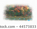 Arashiyama Togetsubashi upstream area boating, autumn leaves in Kyoto, Japan Arashiyama Togetsubashi upstream area boating, autumn leaves in Kyoto, Japan 44573833