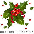 Christmas Berries with red ribbon 44573993