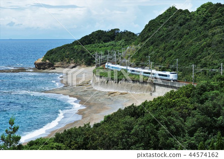 Kisehonsen in summer 44574162