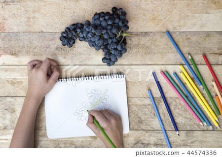 Children's drawing, grapes and colored pencils 44574336