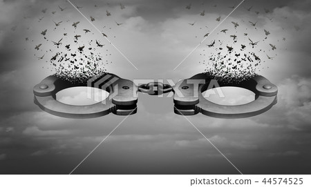 Prison Reform 44574525