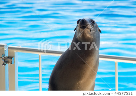 你還活著嗎? 你還活著嗎? 44577551