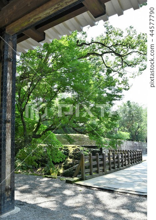 Kafei Castle in the early summer 44577790