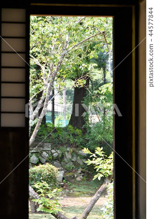 Hiei城堡的初夏在順德堂老學校下 Hiei城堡的初夏在順德堂老學校下 44577844
