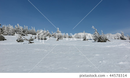 Tohoku White Silver World Hakkodayama Tohoku White Silver World Hakkodayama 44578314