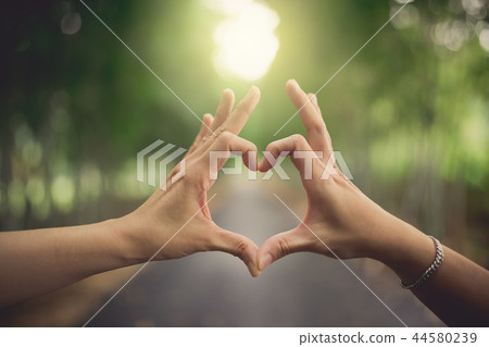 heart shape hands 44580239