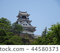Kochi Castle 44580373
