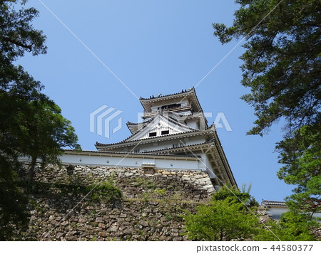 高知城 44580377