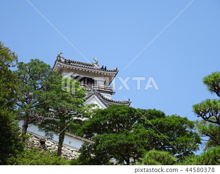 高知城 44580378