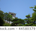 Kochi Castle 44580379