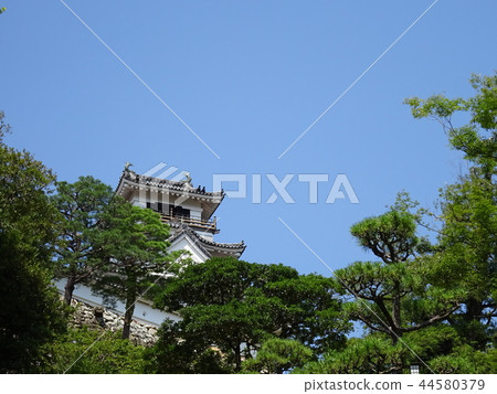 Kochi Castle Kochi Castle 44580379