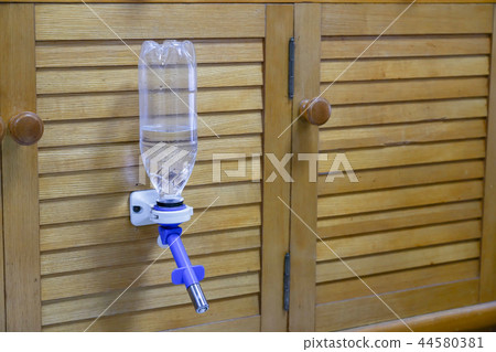 Dog pitcher 44580381