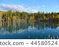 Blue pond autumn 44580524
