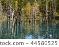 Blue pond autumn 44580525