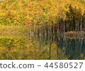 Blue pond autumn 44580527