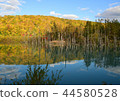 Blue pond autumn 44580528