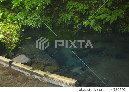 Male pond Male pond 44580592