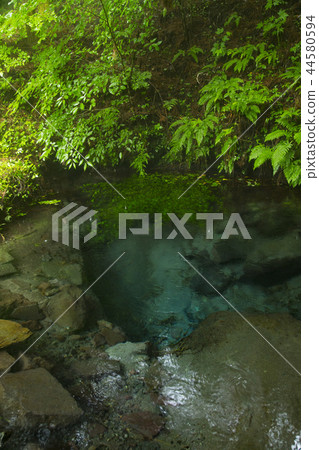 Male pond Male pond 44580594