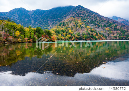 Autumn leaves on the shores of Lake Yunoko f Autumn leaves on the shores of Lake Yunoko f 44580752