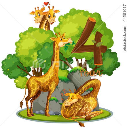 Four giraffe in nature Four giraffe in nature 44581017