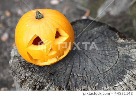 Jack O Lantern Jack O Lantern 44581148