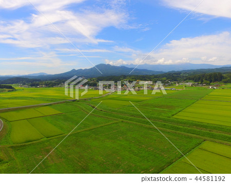 Rice field ~ Aerial photograph with drone (Kunida Basin / Zao-machi Kariya-gun Miyagi prefecture) Rice field ~ Aerial photograph with drone (Kunida Basin / Zao-machi Kariya-gun Miyagi prefecture) 44581192