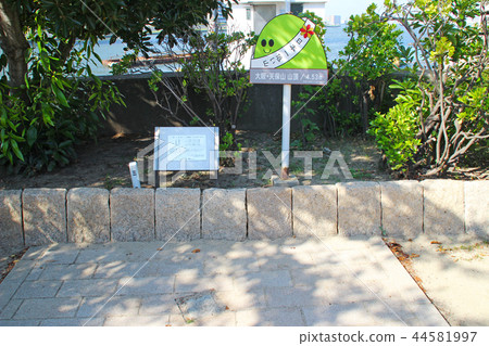 Mt. Tempo / Peak / Osaka Prefecture大阪市港區3 Mt. Tempo / Peak / Osaka Prefecture大阪市港區3 44581997