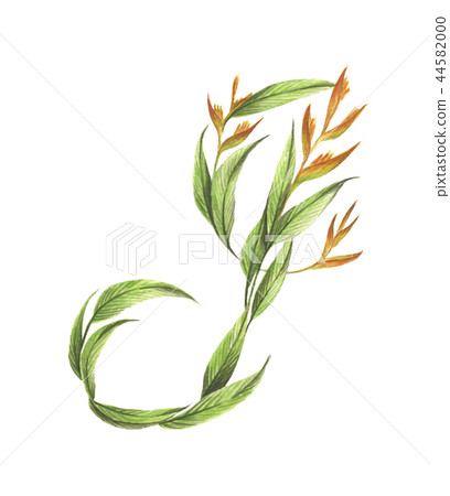 Letter I Made of Flowers. Letter I Made of Flowers. 44582000