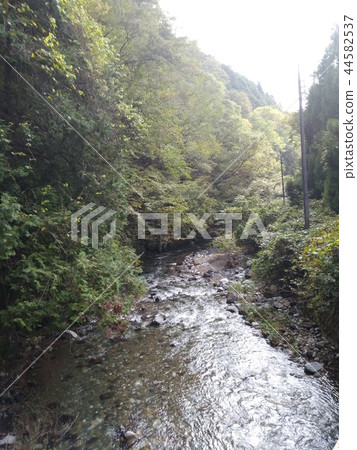 Happy birthday 44582537