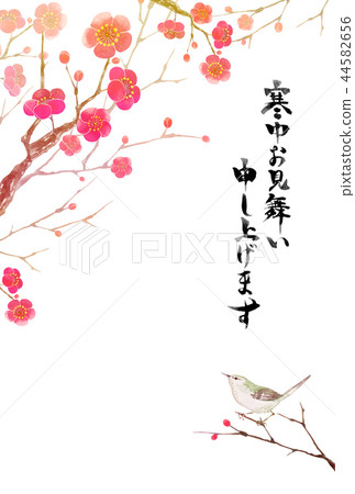 Plum blossoms cold greeting card template B watercolor illustration Plum blossoms cold greeting card template B watercolor illustration 44582656