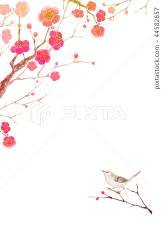 Plum blossoms New year's card & summer greeting card B template watercolor illustration Plum blossoms New year's card & summer greeting card B template watercolor illustration 44582657