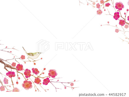 Plum blossom background frame Uguisu watercolor illustration 44582917