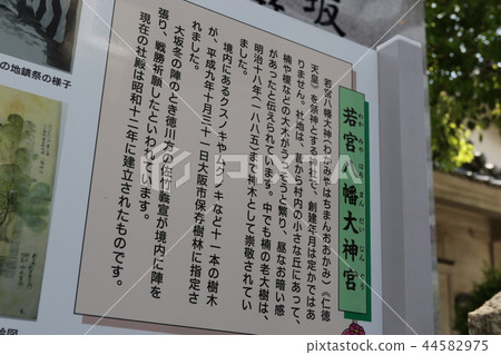  Wakamiya Hachiman Daijingu 44582975