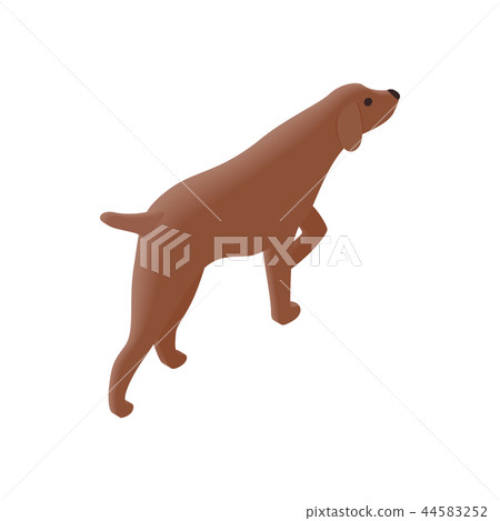 Hunting dog isometric 3d icon Hunting dog isometric 3d icon 44583252