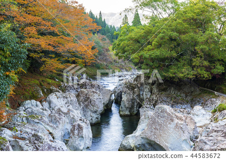 Sarutobi Chitenkyo Sarutobi Chitenkyo 44583672